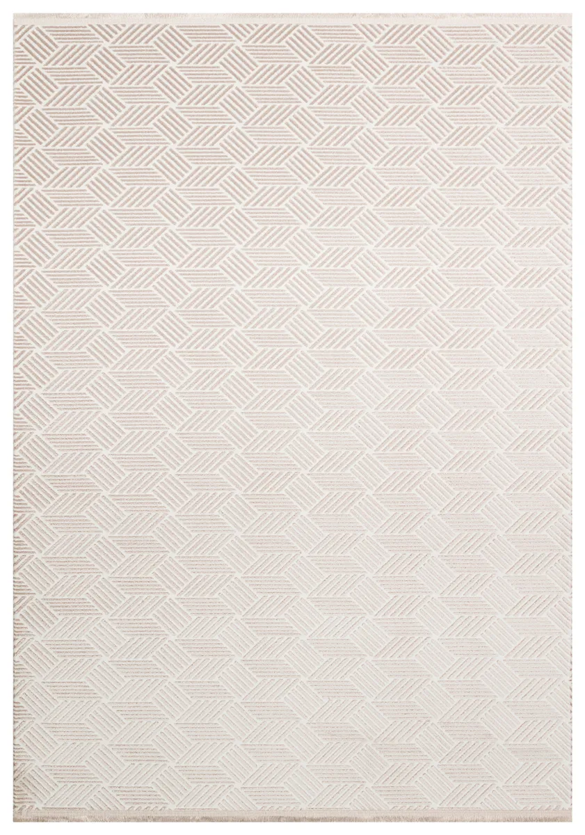 Ness Collection - Ns05